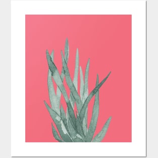 Plant Posters and Art